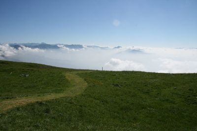 Scenic view of field against sky