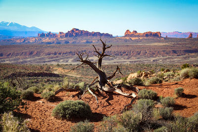 Scenic view of desert against sky