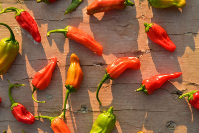 Homegrown red, orange, and green small hot chili peppers spicy vegetable ingredient for cooking