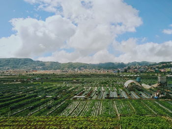 Scenic view of agricultural field against sky