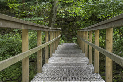 Empty footbridge amidst trees in forest