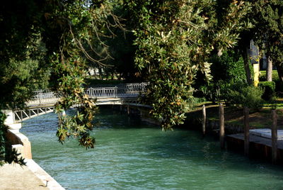 Scenic view of lake by trees