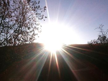 Sunlight streaming through trees against sky on sunny day