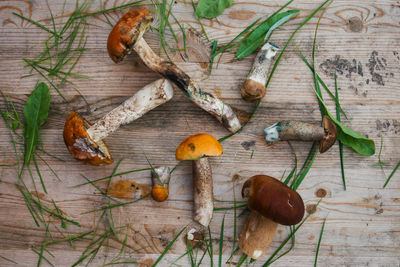 High angle view of dry leaves on table
