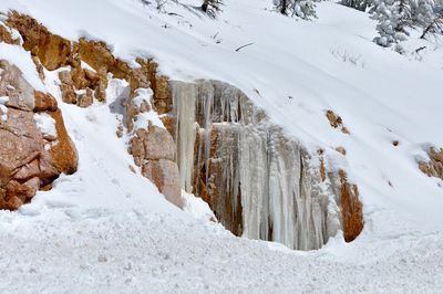 Scenic view of snow covered land bryce canyon