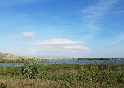 Scenic view of landscape against blue sky