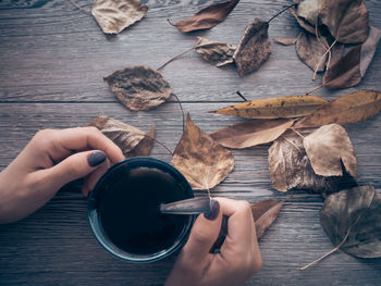 Directly above shot of woman hand holding coffee