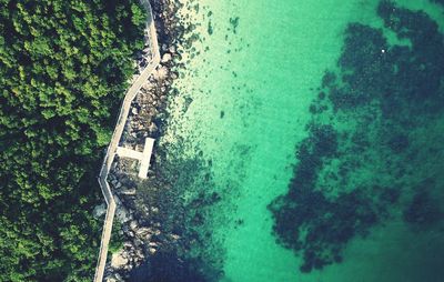 High angle view of sea and trees