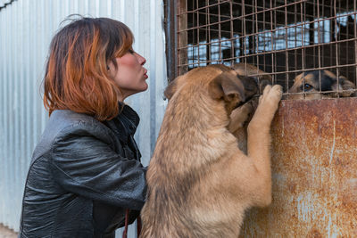 Dog at the shelter. animal shelter volunteer takes care of dogs. 