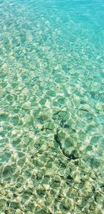 High angle view of swimming pool in sea