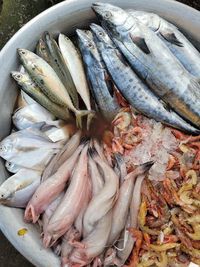 High angle view of fish for sale in market