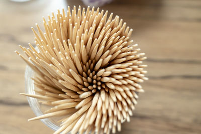 High angle view of flower on table