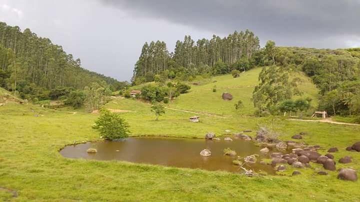 SCENIC VIEW OF GOLF COURSE