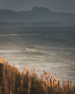 Crashing waves biarritz, france 2020