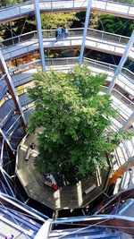 High angle view of trees by building