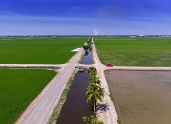 Scenic view of agricultural field against sky