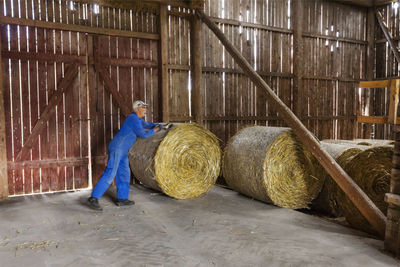 Farmer in barn pushing bale of hay