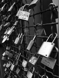 Close-up of padlocks