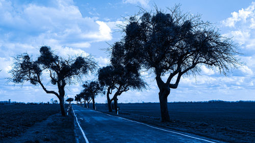 Trees by road on field against sky