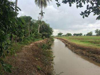 View of stream along trees