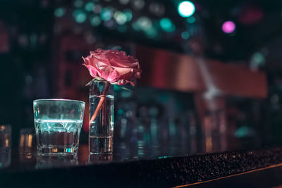 Close-up of shot glass with rose on bar counter