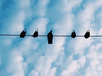 Low angle view of birds perching on cable