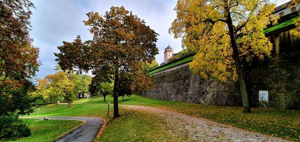 Road amidst trees against sky during autumn