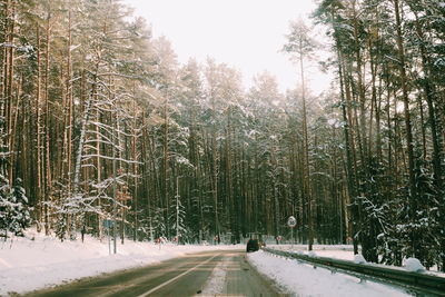 Snow covered road amidst trees in forest