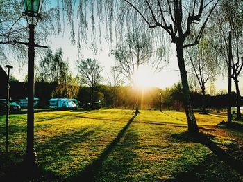 Scenic view of grassy field against sky at sunset