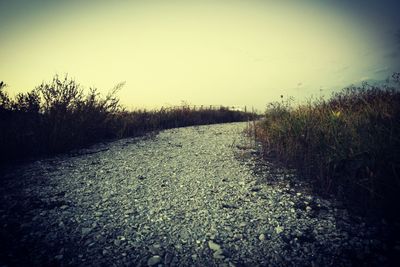 Scenic view of field against clear sky