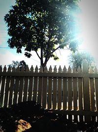 Low angle view of silhouette trees against sky