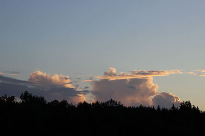 Silhouette trees against sky during sunset