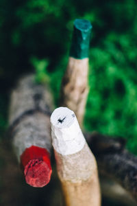 Close-up of red wine bottle