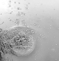 Close-up of water drops on glass