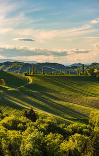 Scenic view of agricultural field against sky