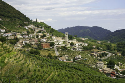 Vineyards along