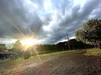 Sunlight streaming through trees on landscape against sky