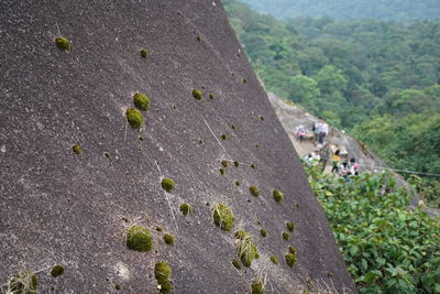 Scenic view of rocks on land