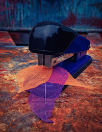 Close-up view of leaf