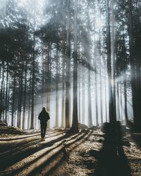 Rear view of woman standing by trees in forest