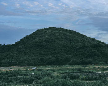 Scenic view of landscape against sky