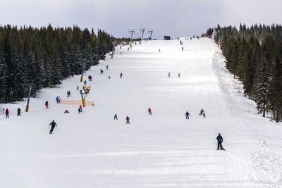 Group of people on snow covered land