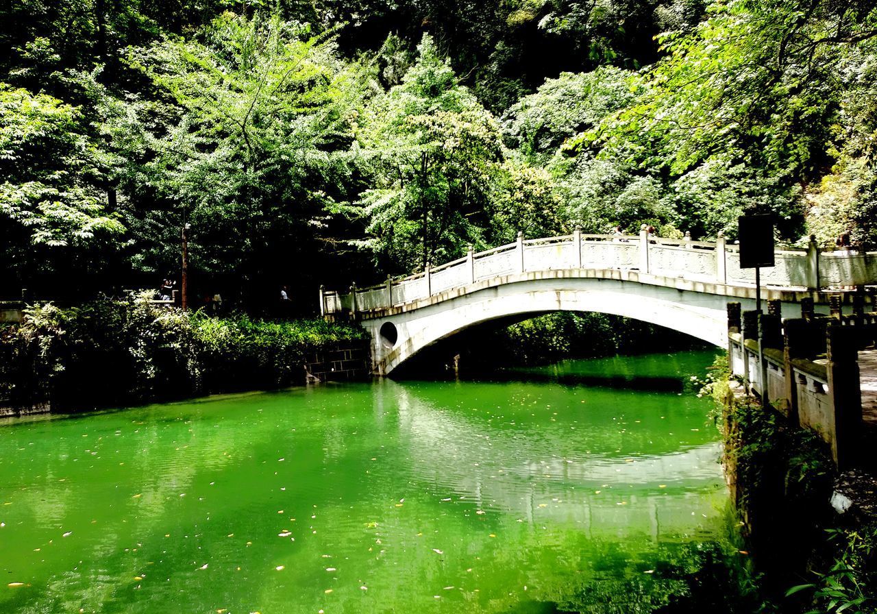 ARCH BRIDGE OVER RIVER