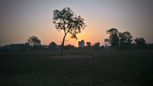 Silhouette trees on field against sky during sunset