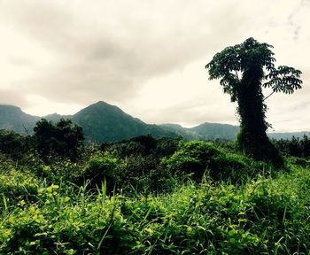 Scenic view of mountains against cloudy sky