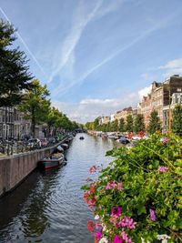 Scenic view of river amidst buildings against sky