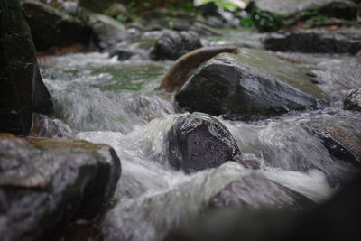 Close-up of water flowing through rocks