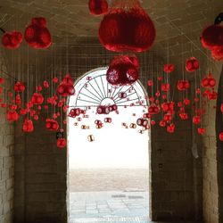 Red flowers hanging on ceiling of building