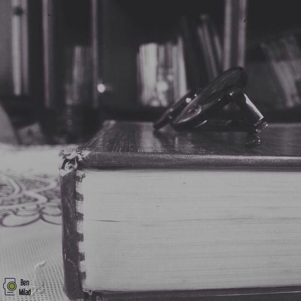 focus on foreground, wood - material, indoors, close-up, table, selective focus, wooden, still life, no people, wood, day, old, metal, home interior, side view, one animal, abandoned, animal themes, sunlight