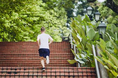 Rear view of man running on steps against trees